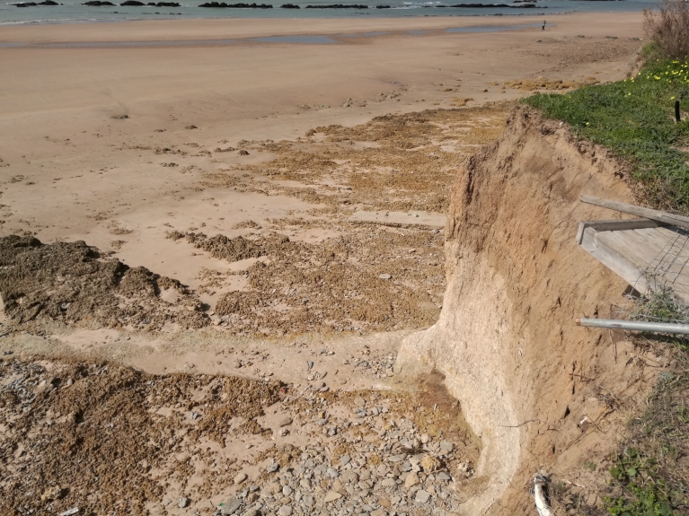 El Gobierno invertirá 2,5 millones en regenerar la playa de Costa Ballena