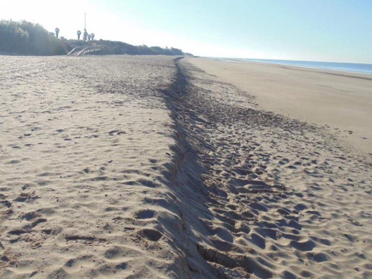 Las E.U.C. de Rota y Chipiona realizan conjuntamente un estudio sobre el volumen de arena y cantil de la playa la Ballena